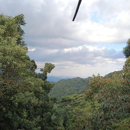 Posadamanduka Eco-Hostel Buenavista  エクステリア 写真