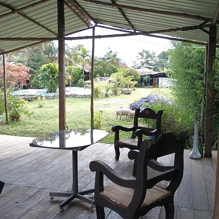 Posadamanduka Eco-Hostel Buenavista  エクステリア 写真