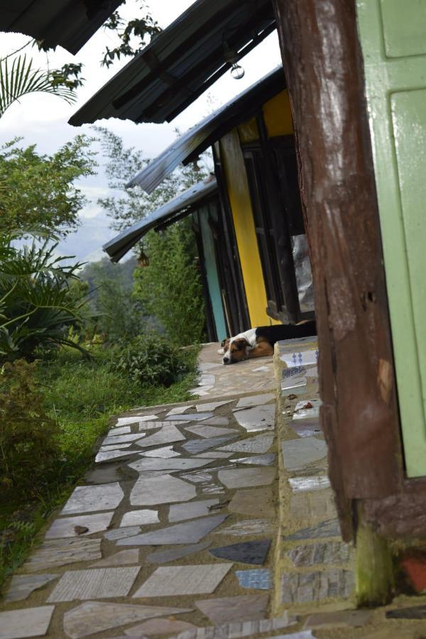 Posadamanduka Eco-Hostel Buenavista  エクステリア 写真