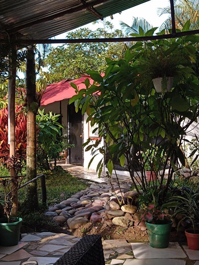 Posadamanduka Eco-Hostel Buenavista  エクステリア 写真