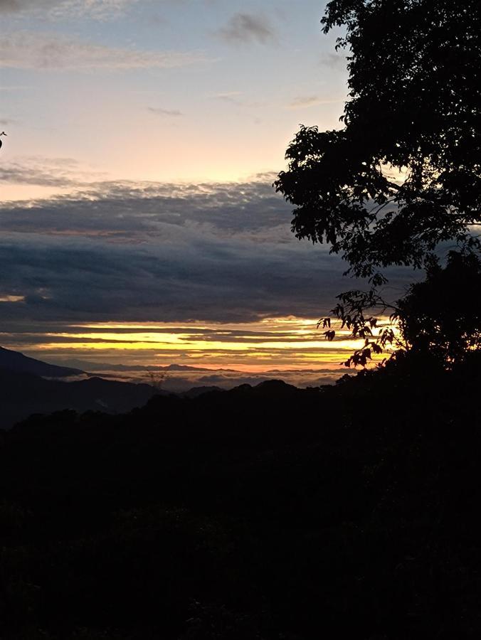 Posadamanduka Eco-Hostel Buenavista  エクステリア 写真