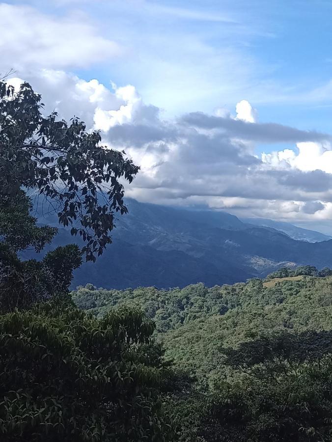 Posadamanduka Eco-Hostel Buenavista  エクステリア 写真