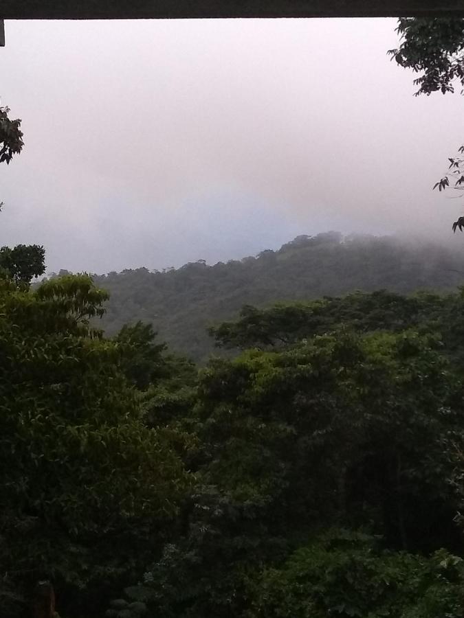 Posadamanduka Eco-Hostel Buenavista  エクステリア 写真