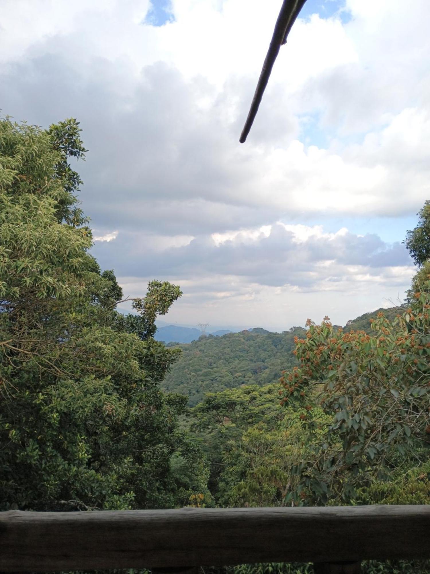 Posadamanduka Eco-Hostel Buenavista  エクステリア 写真