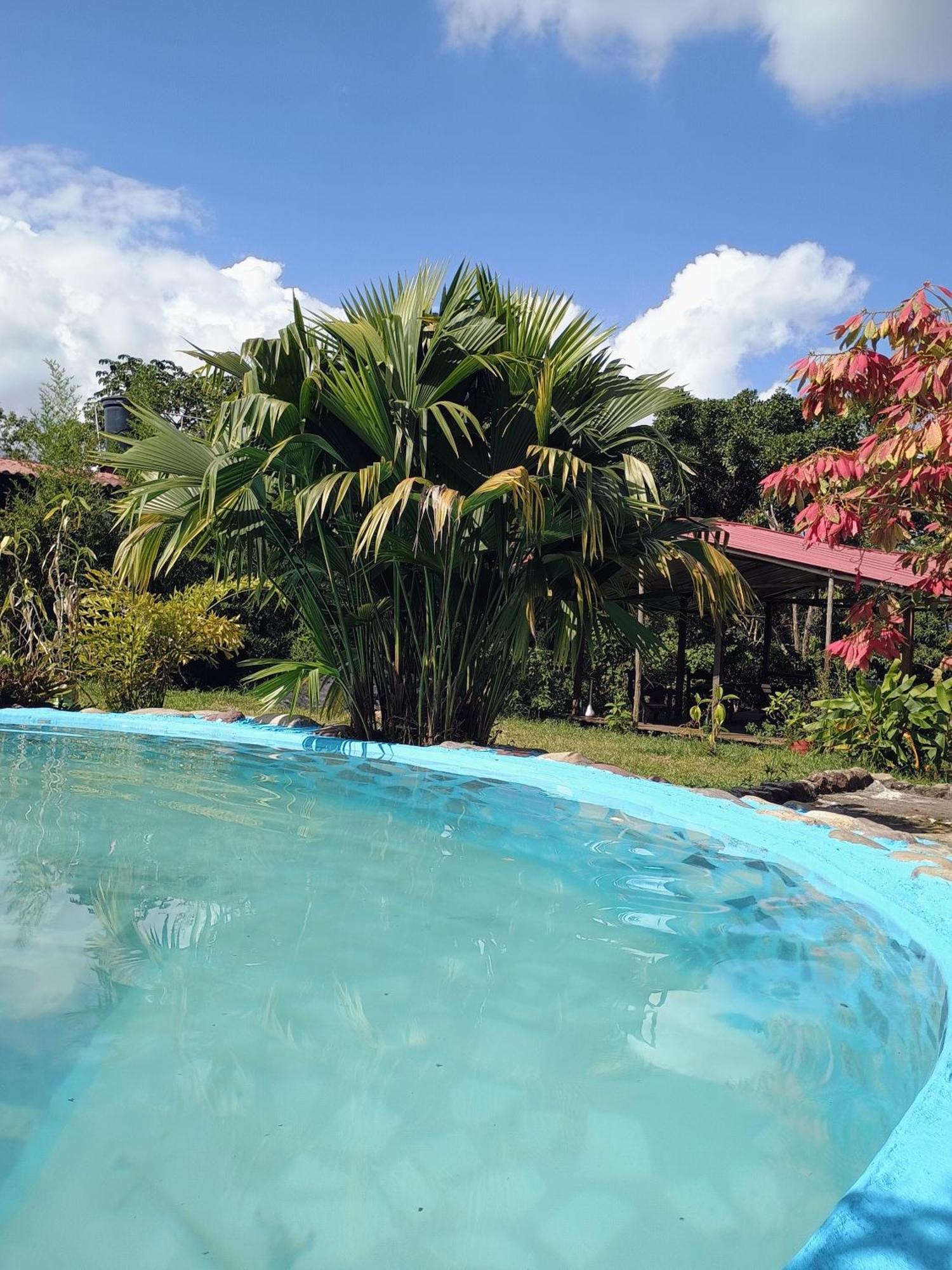 Posadamanduka Eco-Hostel Buenavista  エクステリア 写真