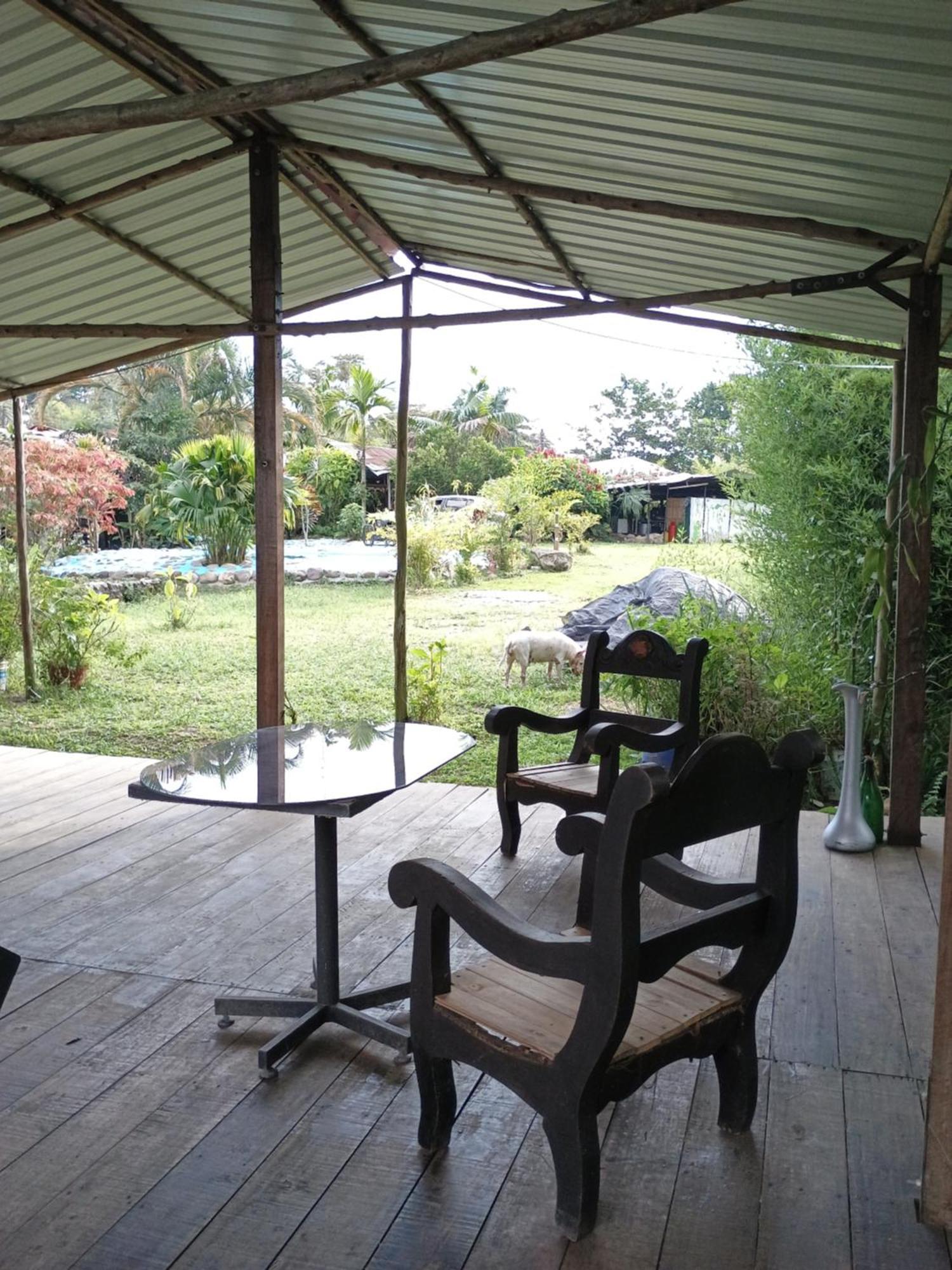 Posadamanduka Eco-Hostel Buenavista  エクステリア 写真