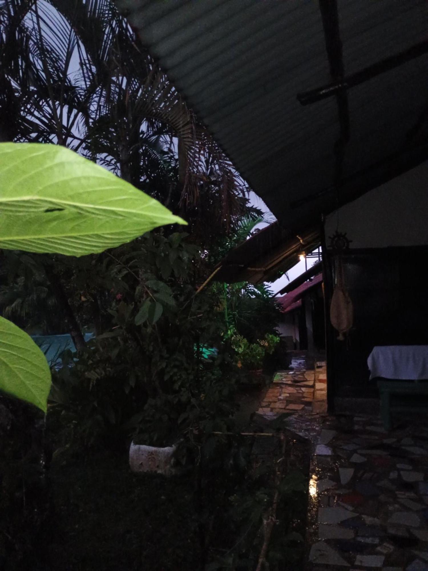 Posadamanduka Eco-Hostel Buenavista  エクステリア 写真
