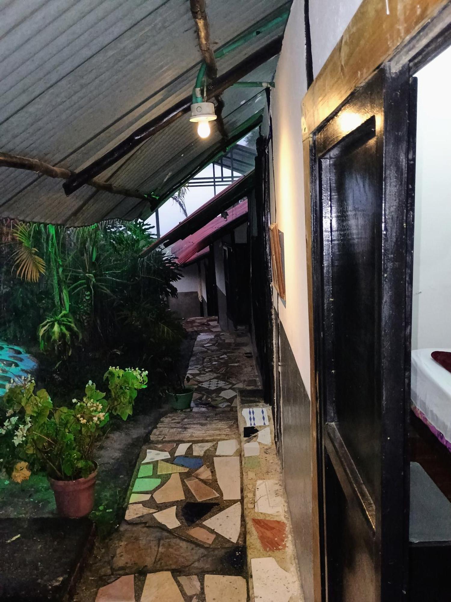 Posadamanduka Eco-Hostel Buenavista  エクステリア 写真