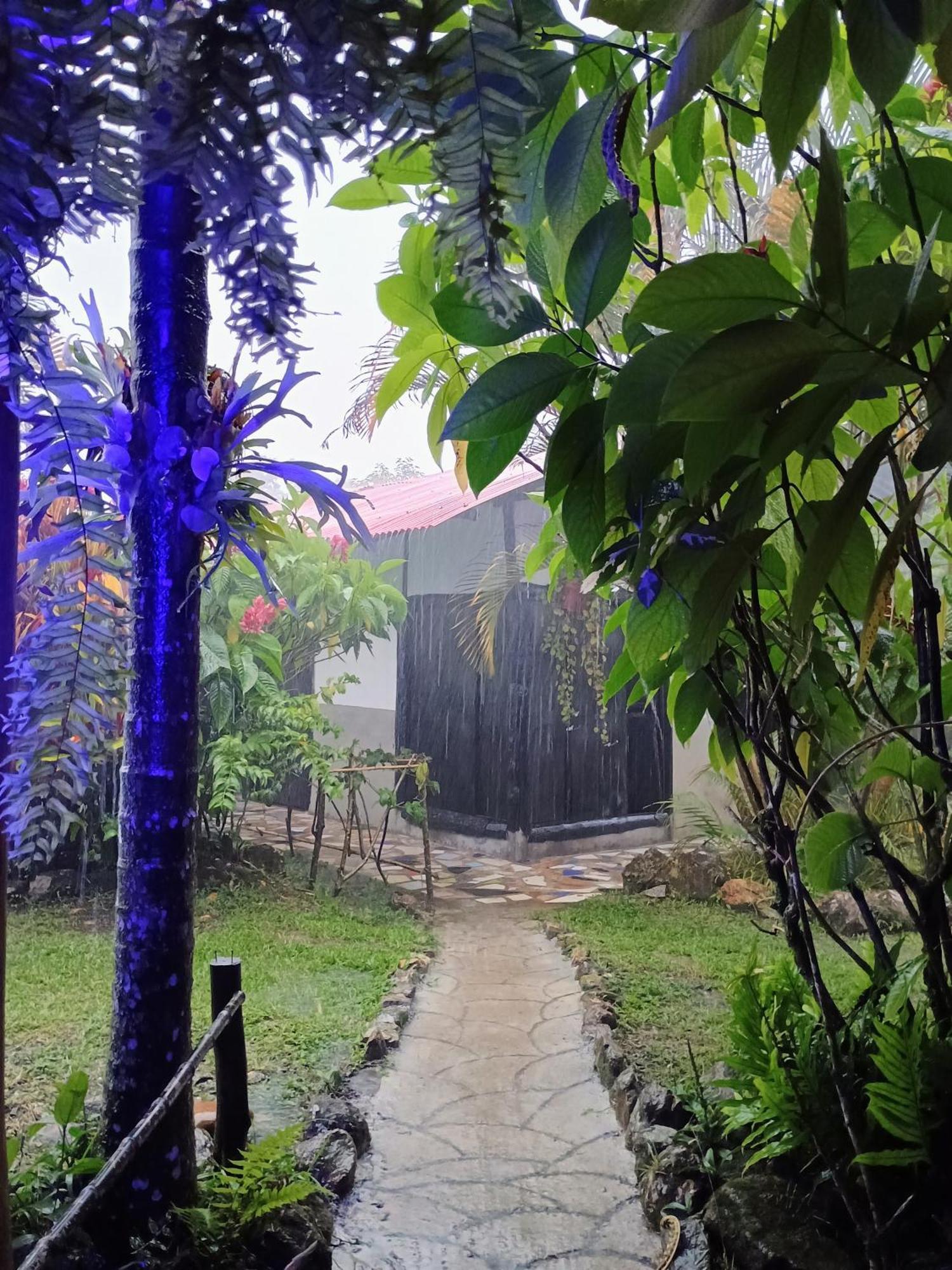 Posadamanduka Eco-Hostel Buenavista  エクステリア 写真