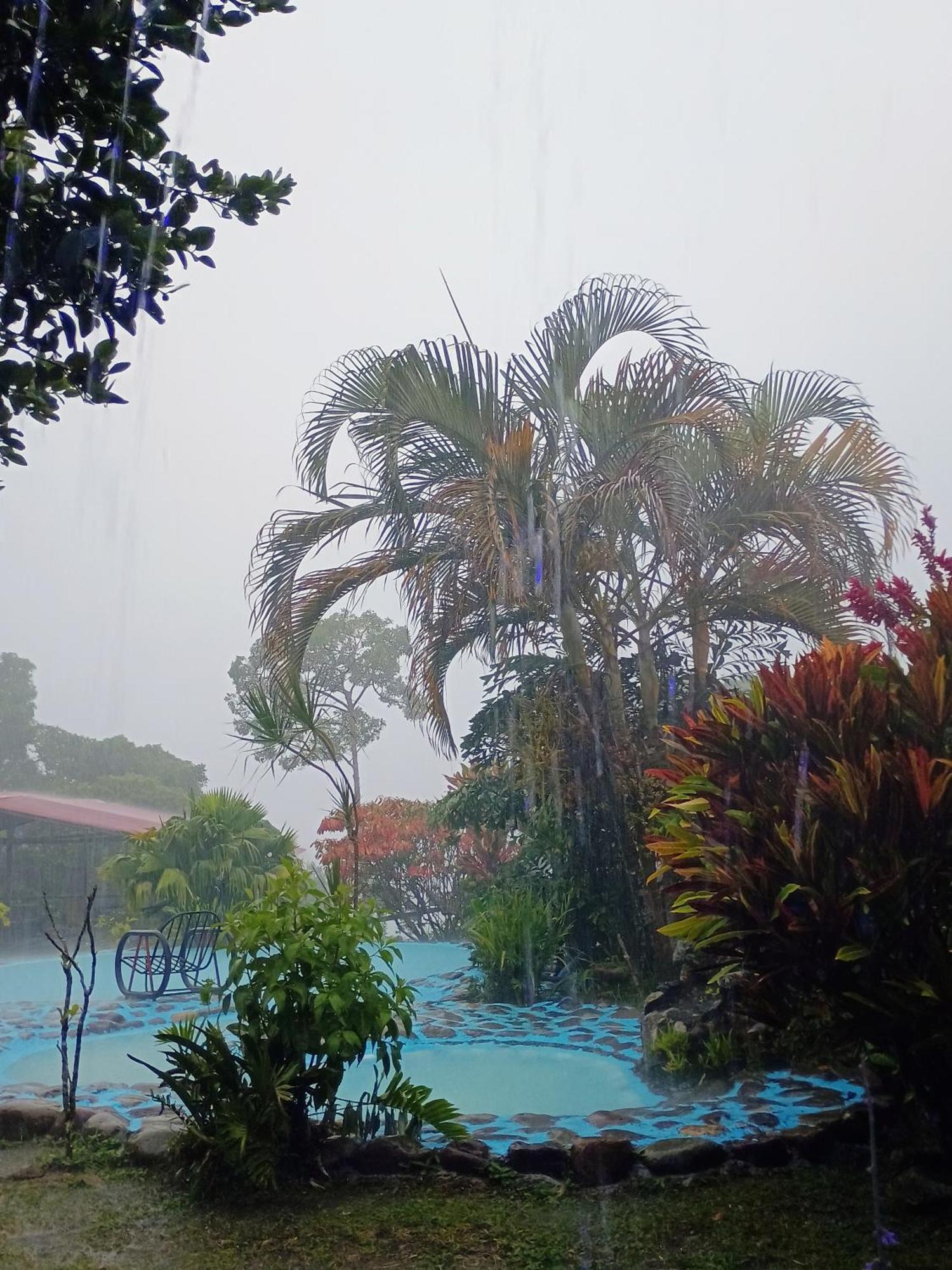 Posadamanduka Eco-Hostel Buenavista  エクステリア 写真