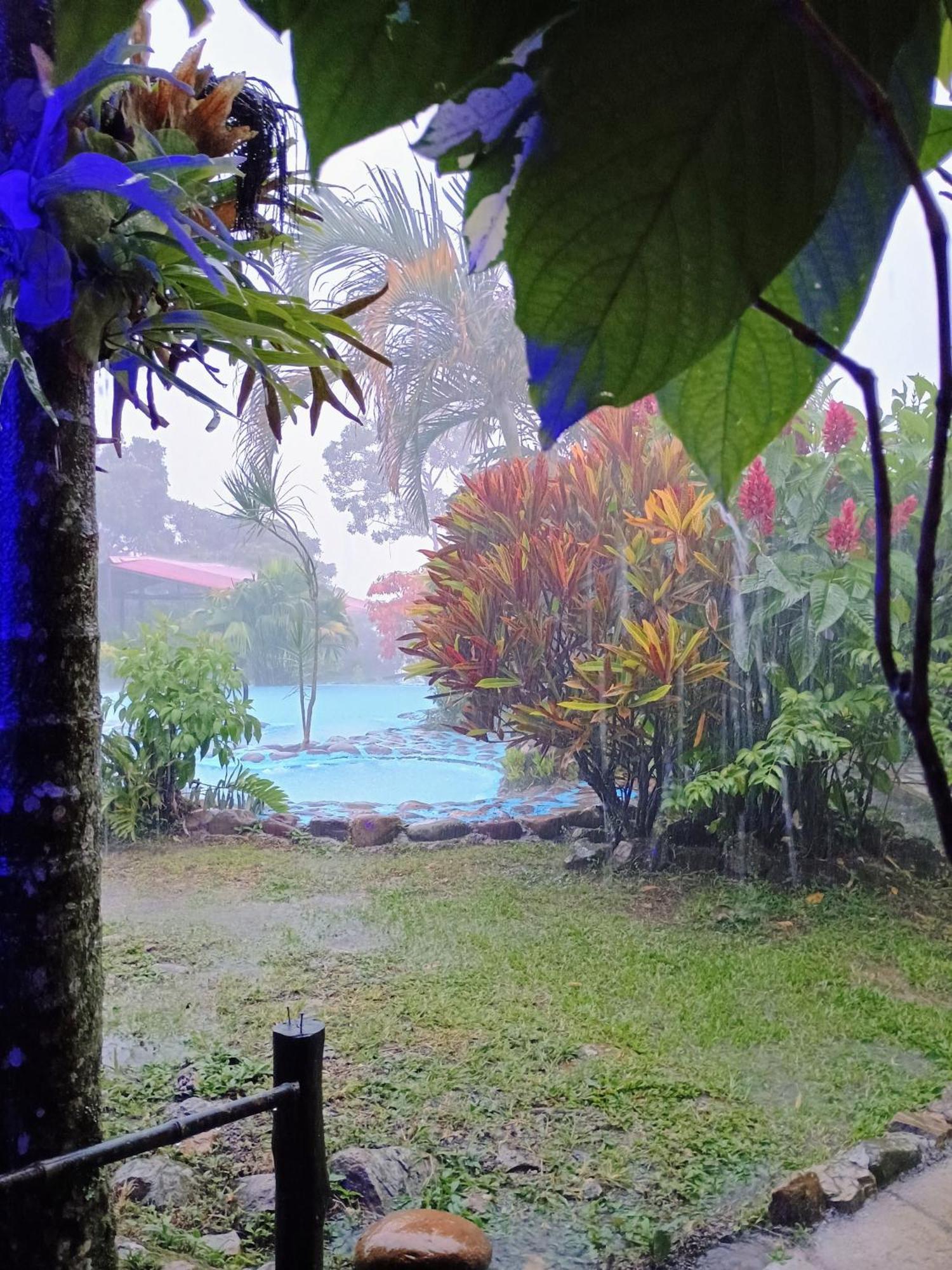 Posadamanduka Eco-Hostel Buenavista  エクステリア 写真